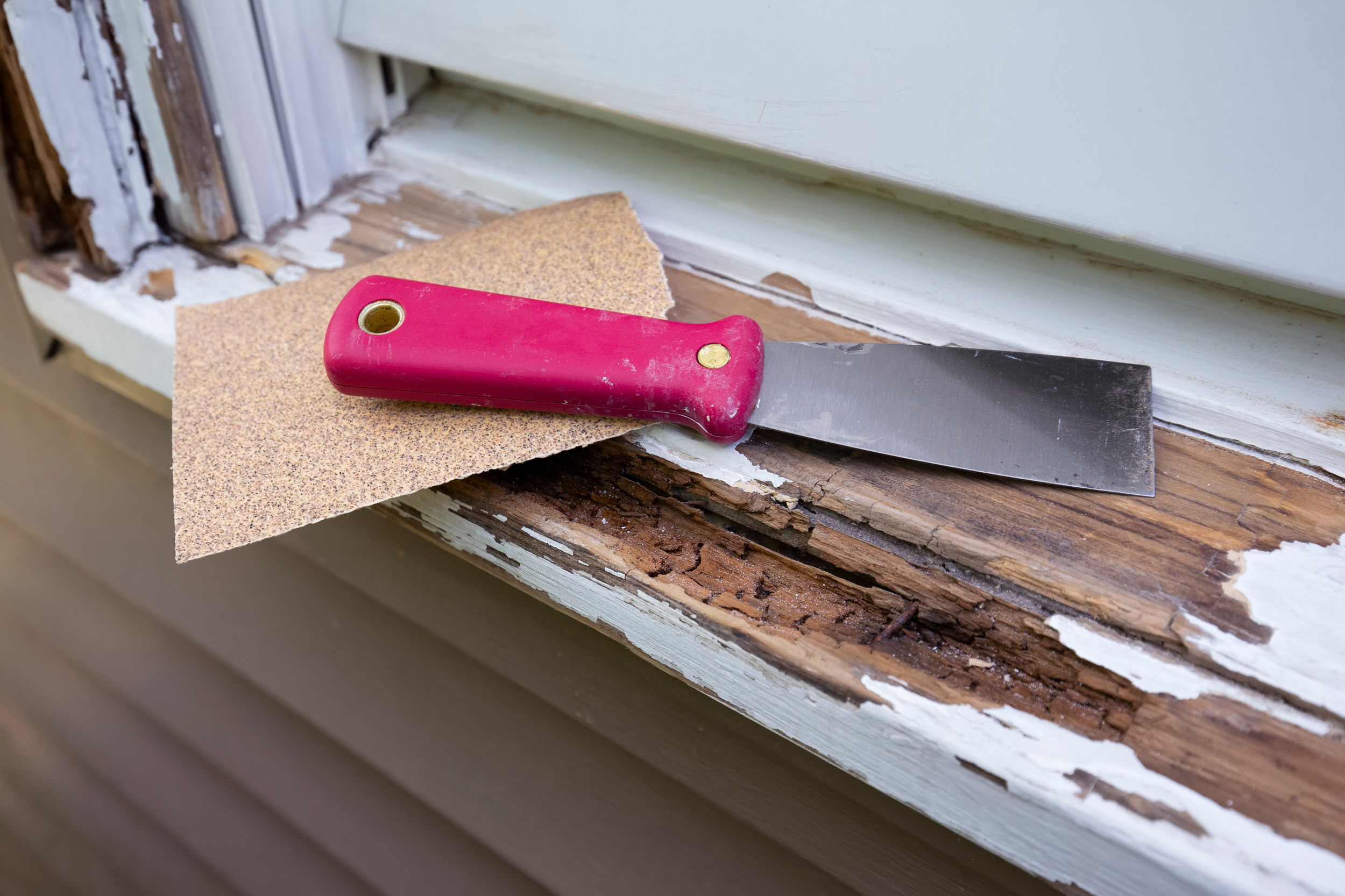Painting Wood Windows